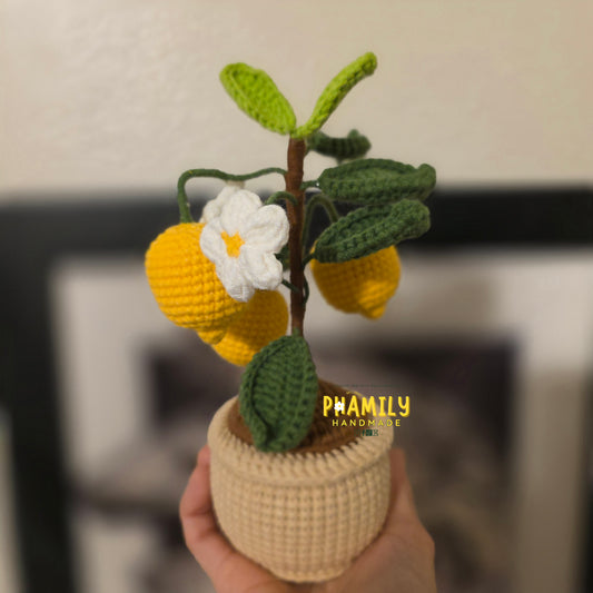 1. Vegetable Plant Pot, Houseplant Pot Handmade Crochet, Home Decoration, gift ideas, table decor, desk decor, gardening lovers, plant lovers