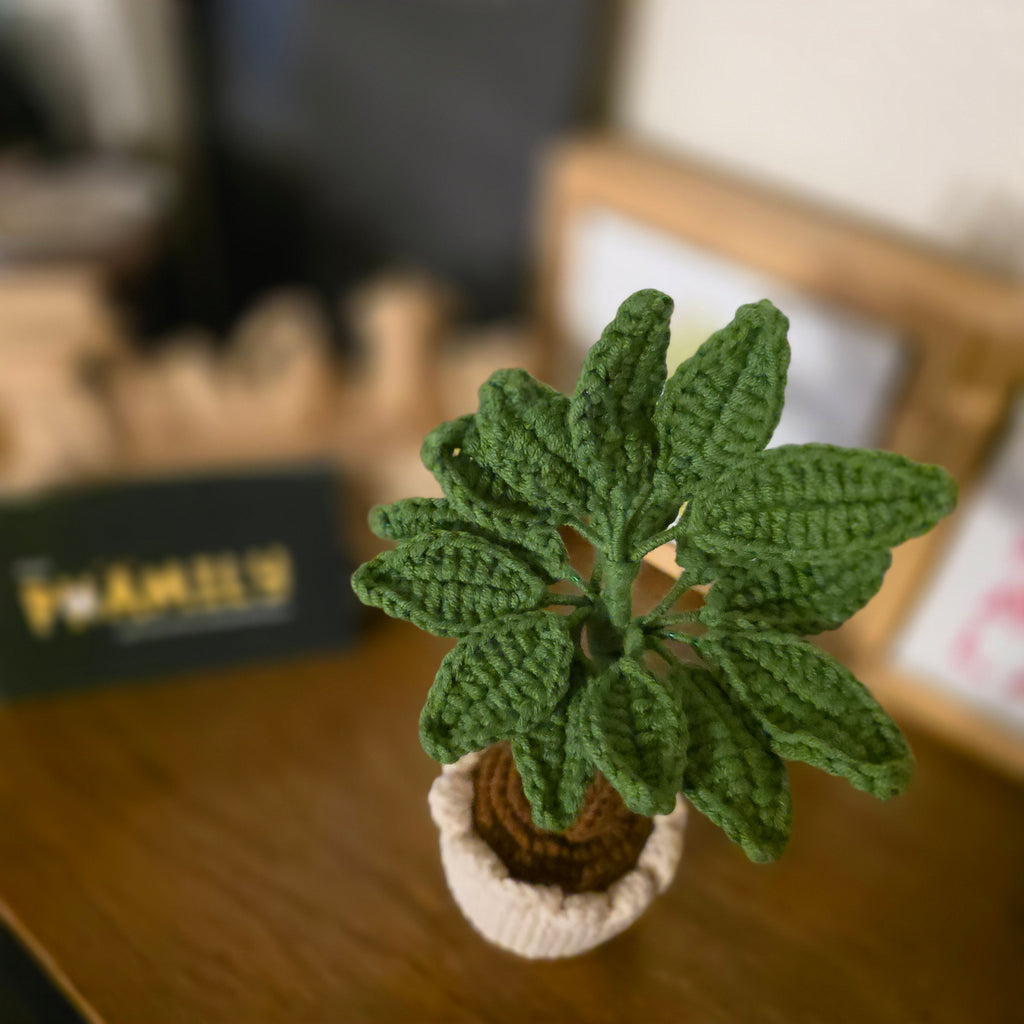 Crochet Money Tree | Handmade Lucky Tree Decor | Cute Plant Gift | Home Decor, Office Decor, or Car Decor | Amigurumi Money Tree (7 in)