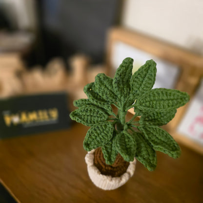 Crochet Money Tree | Handmade Lucky Tree Decor | Cute Plant Gift | Home Decor, Office Decor, or Car Decor | Amigurumi Money Tree (7 in)