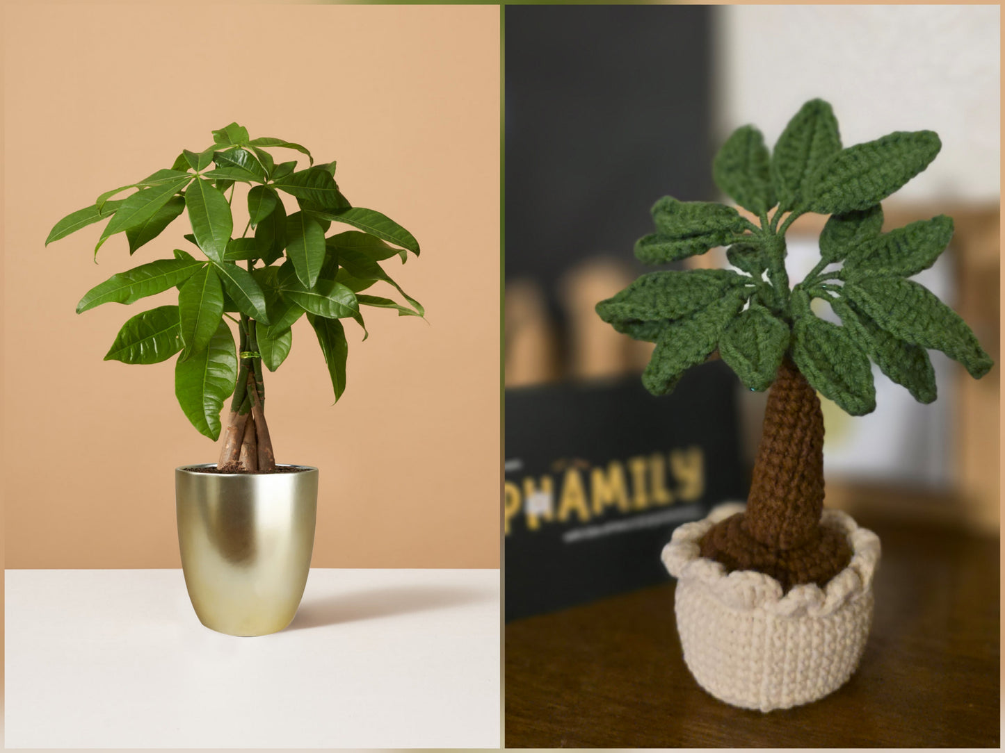 Crochet Money Tree | Handmade Lucky Tree Decor | Cute Plant Gift | Home Decor, Office Decor, or Car Decor | Amigurumi Money Tree (7 in)