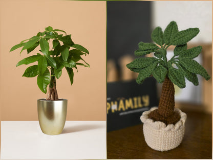 Crochet Money Tree | Handmade Lucky Tree Decor | Cute Plant Gift | Home Decor, Office Decor, or Car Decor | Amigurumi Money Tree (7 in)