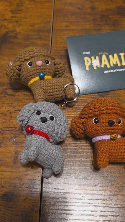 Poodle Puppy Dog