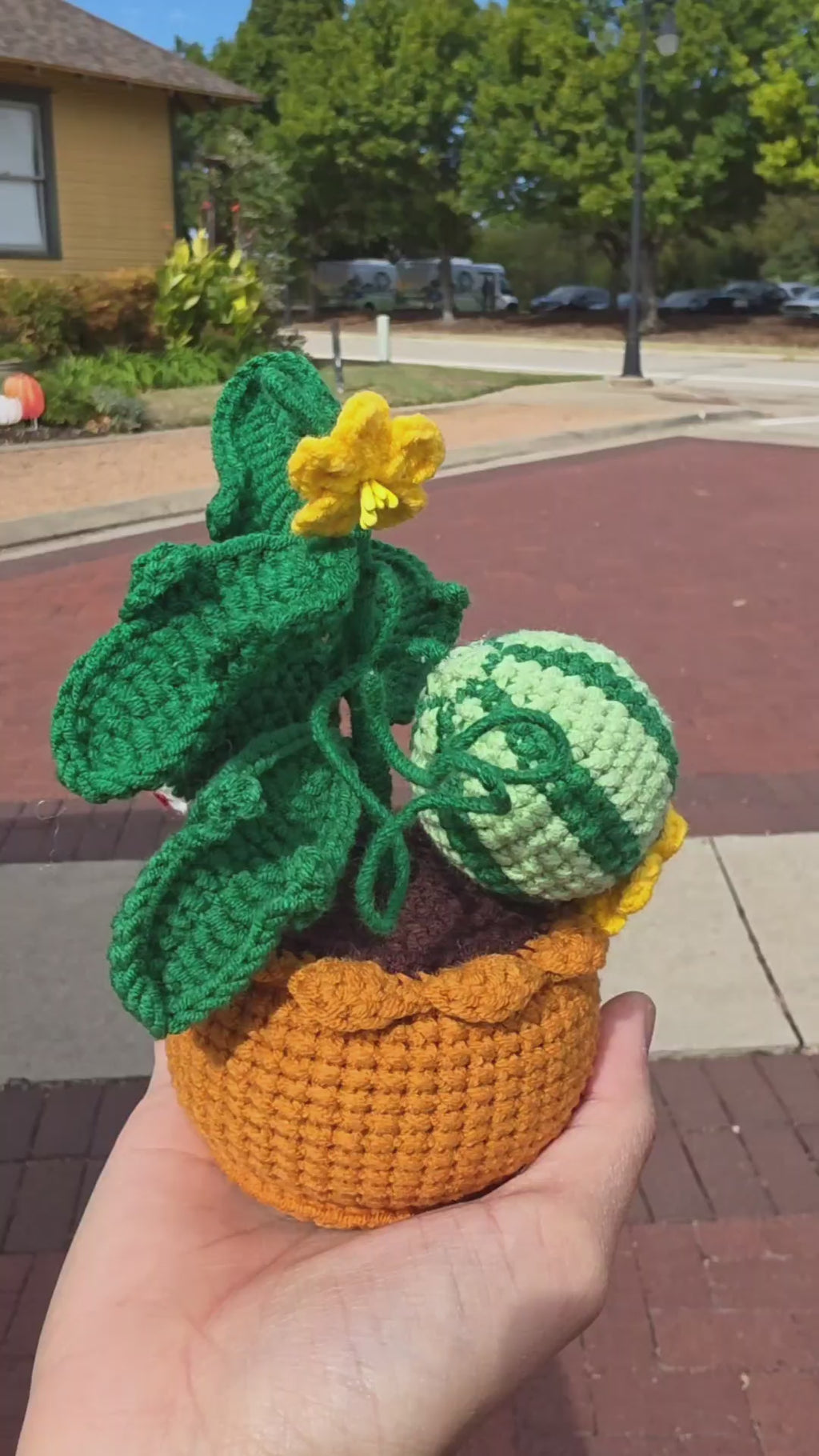 1. Vegetable Plant Pot, Houseplant Pot Handmade Crochet, Home Decoration, gift ideas, table decor, desk decor, gardening lovers, plant lovers