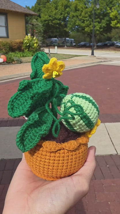 1. Vegetable Plant Pot, Houseplant Pot Handmade Crochet, Home Decoration, gift ideas, table decor, desk decor, gardening lovers, plant lovers