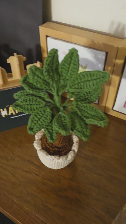 Crochet Money Tree | Handmade Lucky Tree Decor | Cute Plant Gift | Home Decor, Office Decor, or Car Decor | Amigurumi Money Tree (7 in)