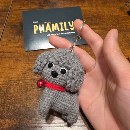 Poodle Puppy Dog