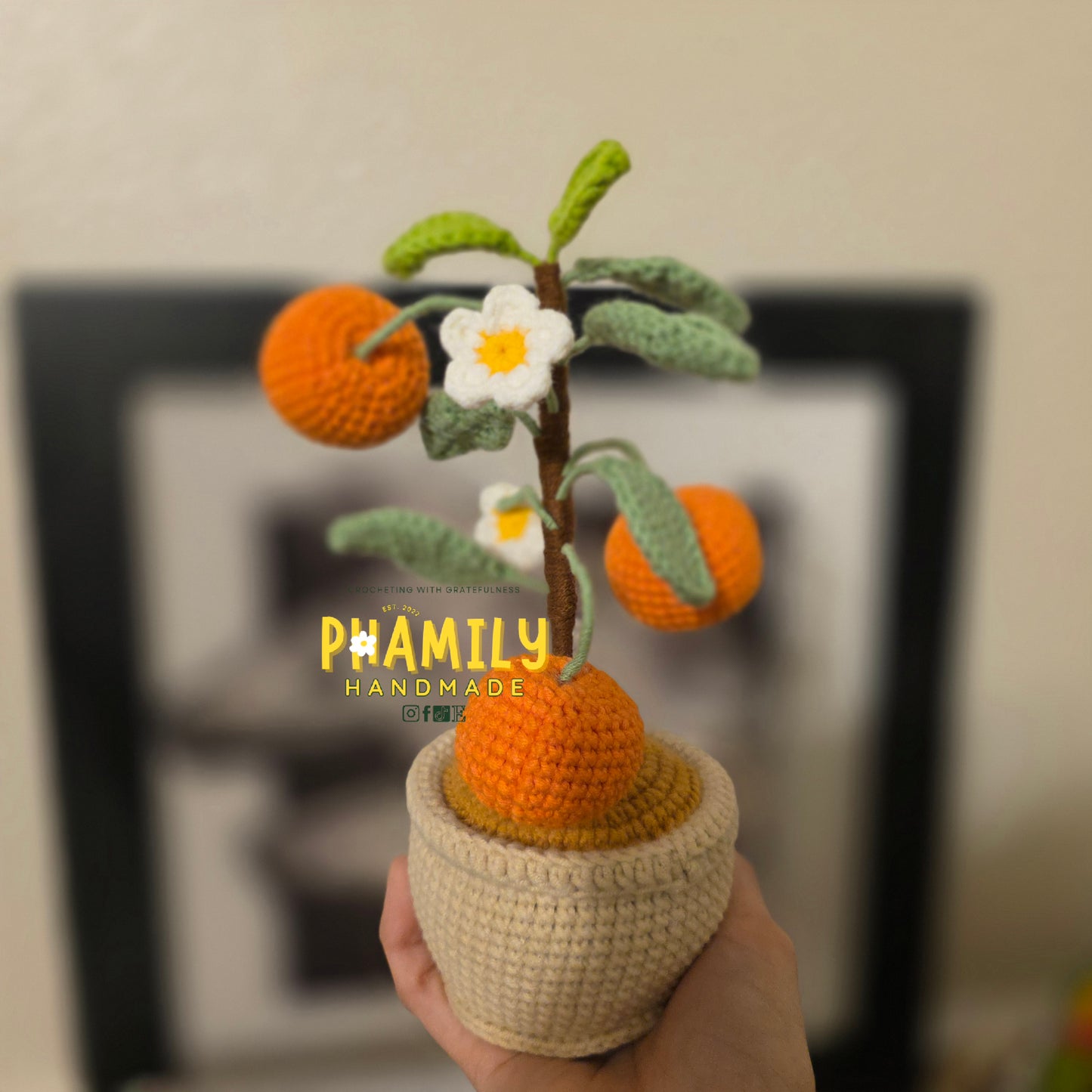 1. Vegetable Plant Pot, Houseplant Pot Handmade Crochet, Home Decoration, gift ideas, table decor, desk decor, gardening lovers, plant lovers
