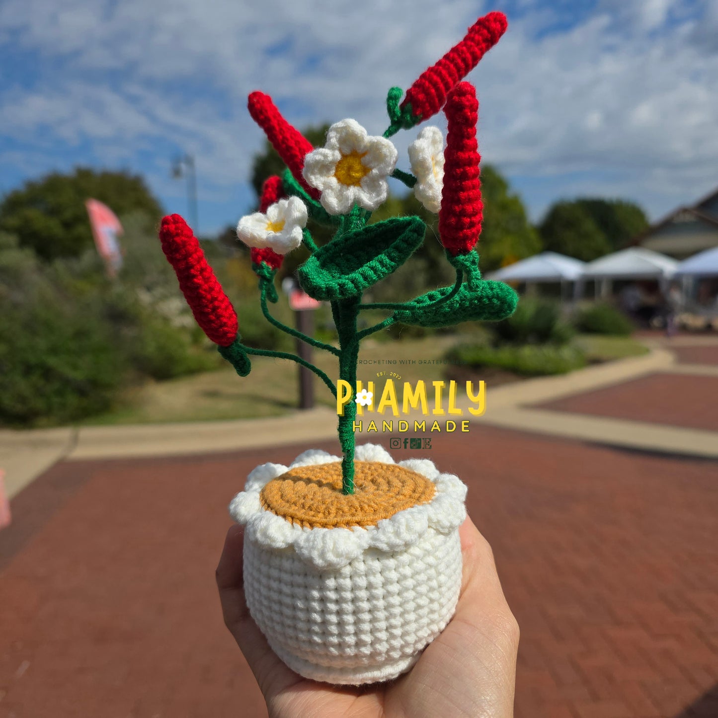 1. Vegetable Plant Pot, Houseplant Pot Handmade Crochet, Home Decoration, gift ideas, table decor, desk decor, gardening lovers, plant lovers