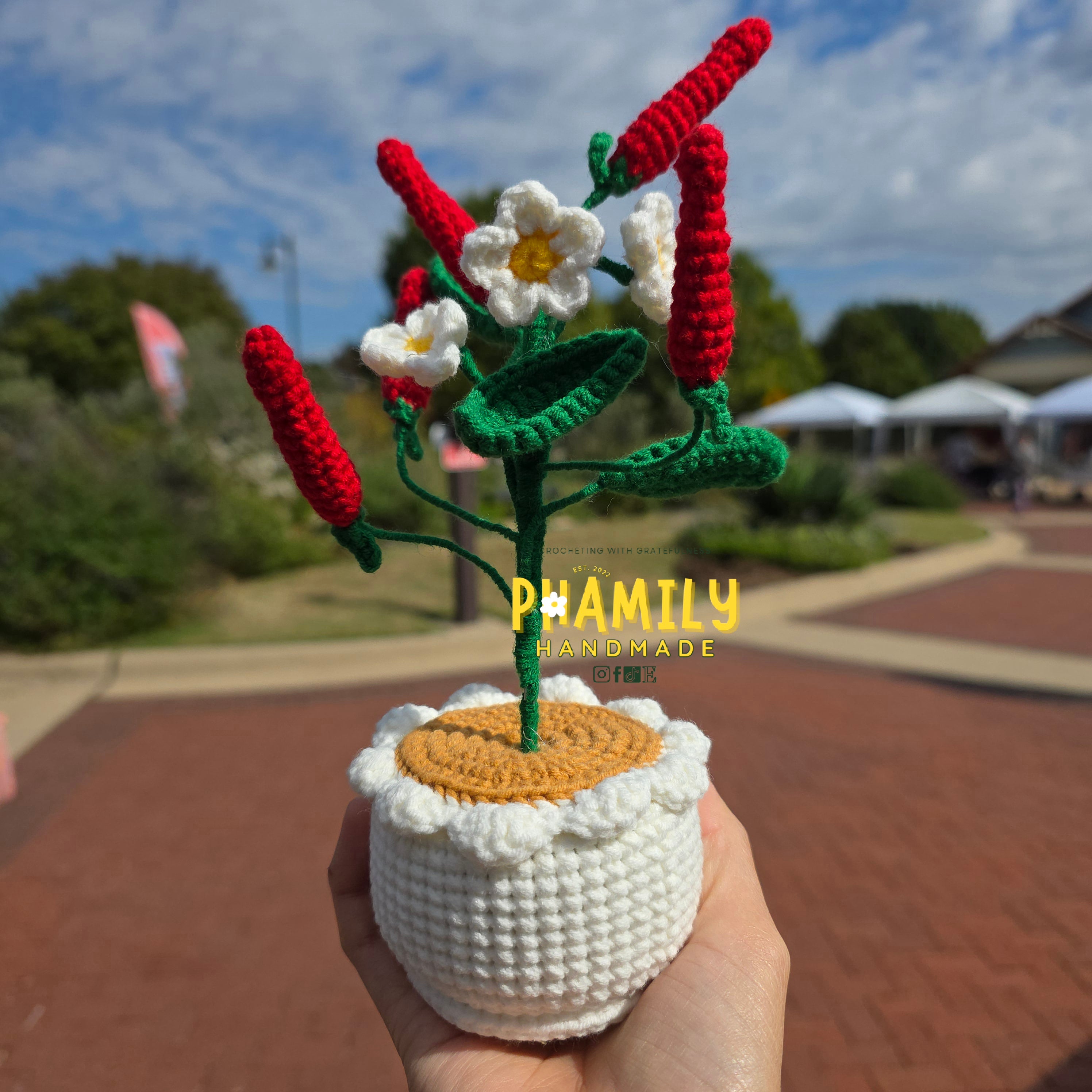 1. Vegetable Plant Pot, Houseplant Pot Handmade Crochet, Home Decoration, gift ideas, table decor, desk decor, gardening lovers, plant lovers