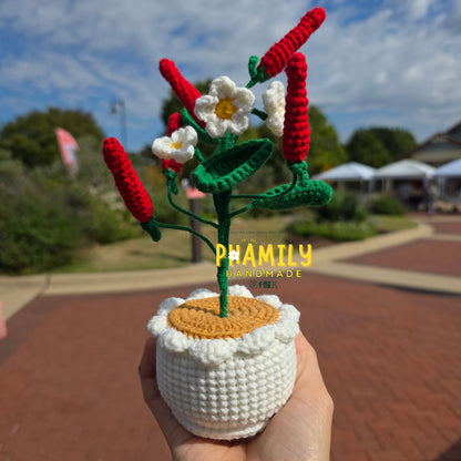 1. Vegetable Plant Pot, Houseplant Pot Handmade Crochet, Home Decoration, gift ideas, table decor, desk decor, gardening lovers, plant lovers