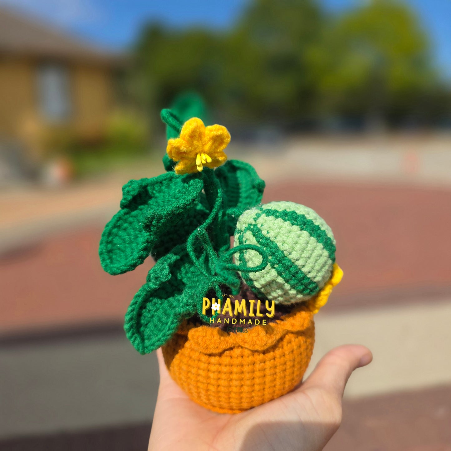 1. Vegetable Plant Pot, Houseplant Pot Handmade Crochet, Home Decoration, gift ideas, table decor, desk decor, gardening lovers, plant lovers