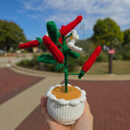 1. Vegetable Plant Pot, Houseplant Pot Handmade Crochet, Home Decoration, gift ideas, table decor, desk decor, gardening lovers, plant lovers