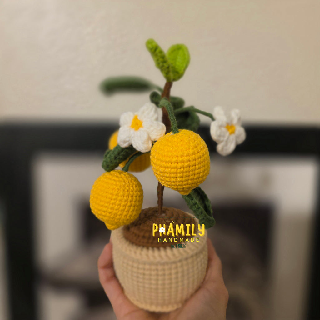 1. Vegetable Plant Pot, Houseplant Pot Handmade Crochet, Home Decoration, gift ideas, table decor, desk decor, gardening lovers, plant lovers