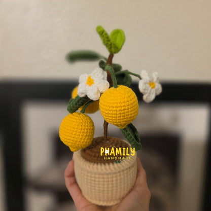 1. Vegetable Plant Pot, Houseplant Pot Handmade Crochet, Home Decoration, gift ideas, table decor, desk decor, gardening lovers, plant lovers
