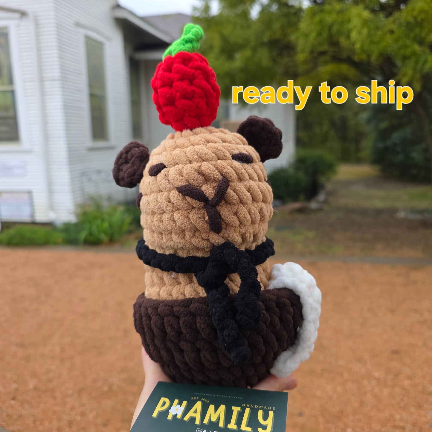 Capybara Plushie - Ready to Ship | Handmade Crochet Toy | Gift Idea