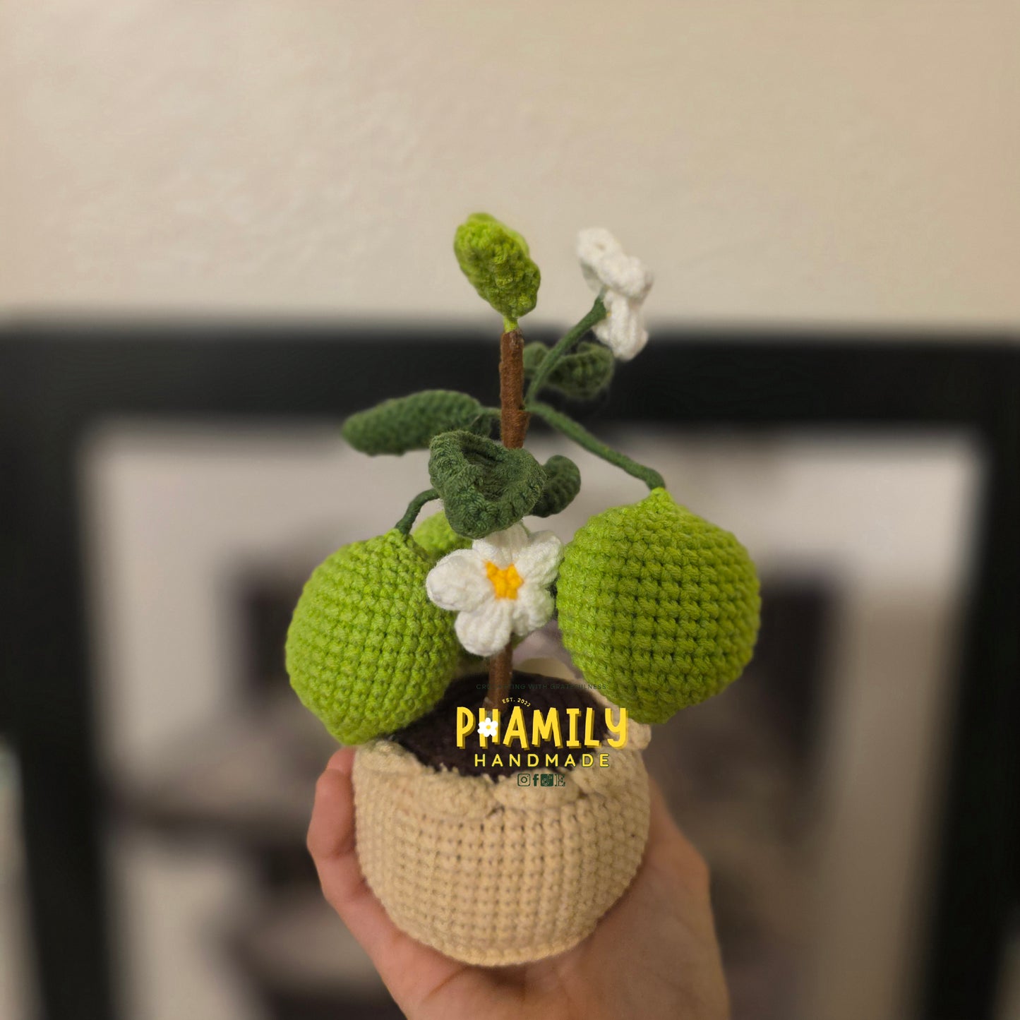 1. Vegetable Plant Pot, Houseplant Pot Handmade Crochet, Home Decoration, gift ideas, table decor, desk decor, gardening lovers, plant lovers