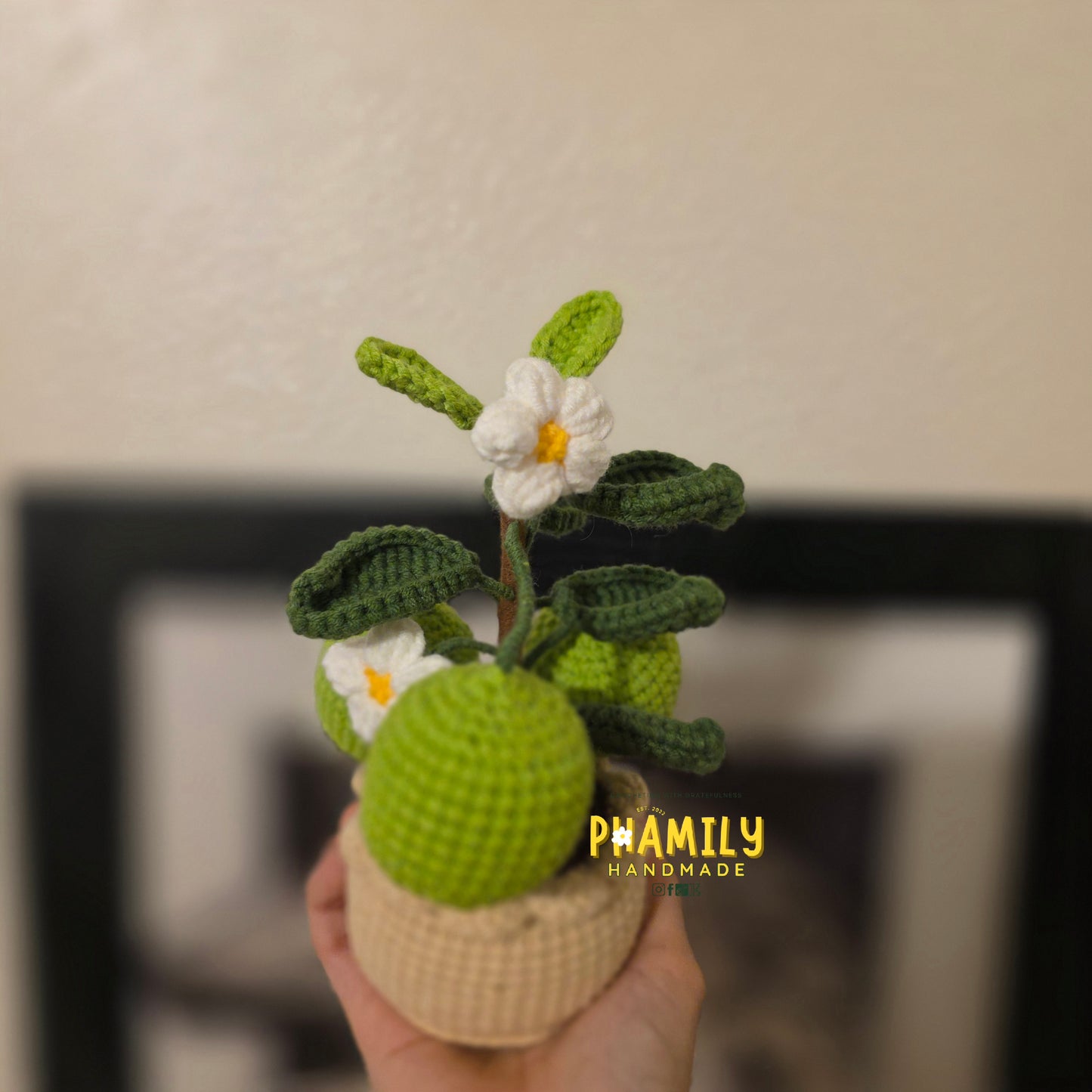 1. Vegetable Plant Pot, Houseplant Pot Handmade Crochet, Home Decoration, gift ideas, table decor, desk decor, gardening lovers, plant lovers