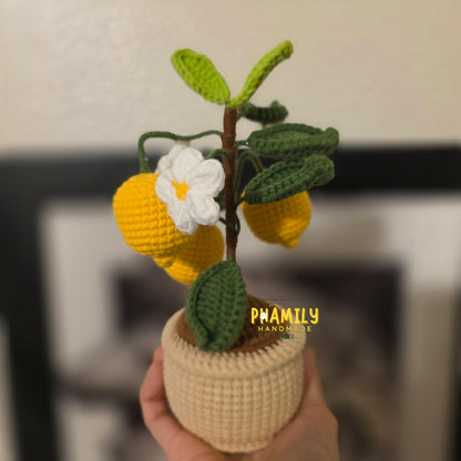 1. Vegetable Plant Pot, Houseplant Pot Handmade Crochet, Home Decoration, gift ideas, table decor, desk decor, gardening lovers, plant lovers