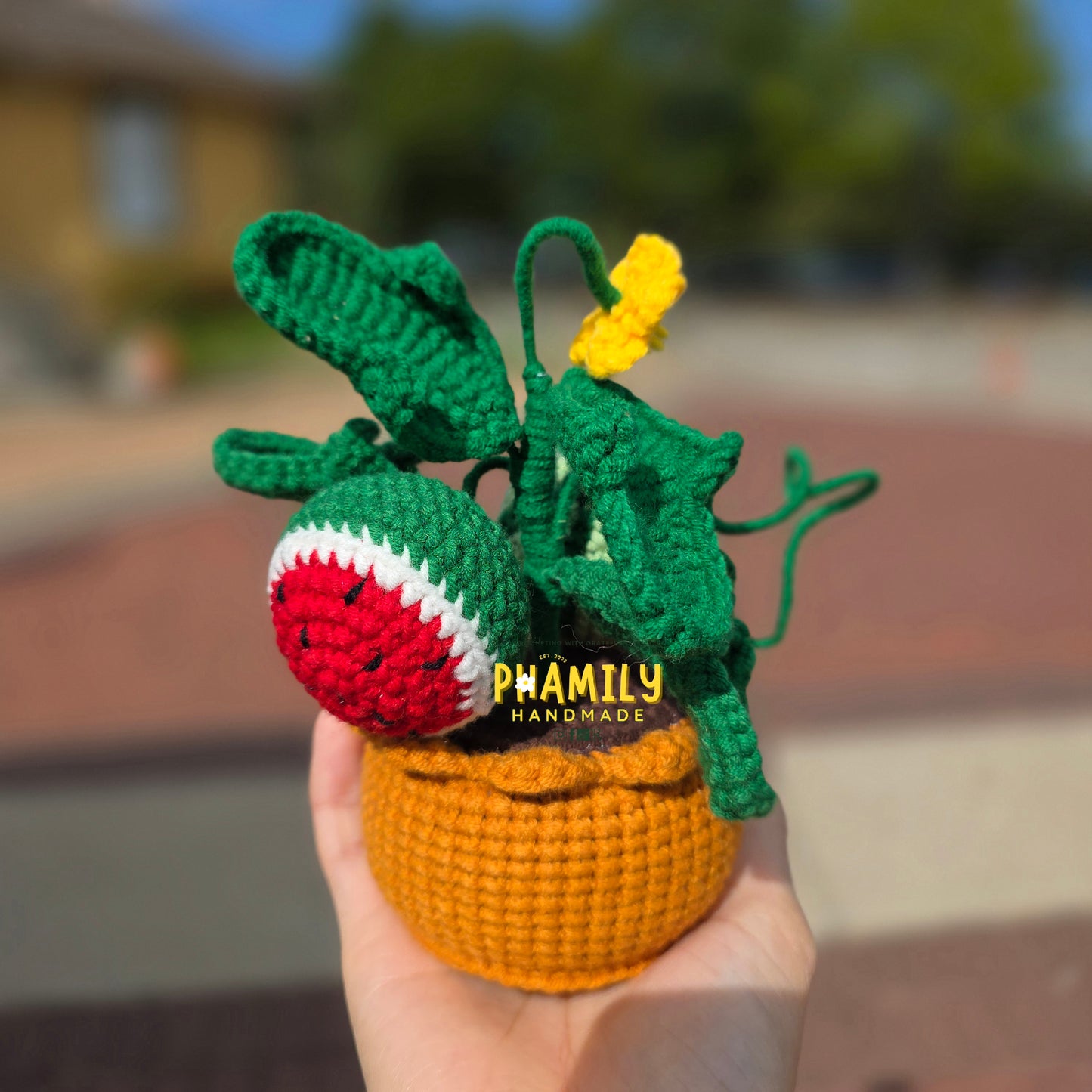 1. Vegetable Plant Pot, Houseplant Pot Handmade Crochet, Home Decoration, gift ideas, table decor, desk decor, gardening lovers, plant lovers